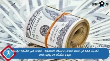 تحديث مهم في سعر الدولار بالبنوك المصرية.. تعرف على القيمة الجديدة اليوم الثلاثاء 29 يوليو 2025